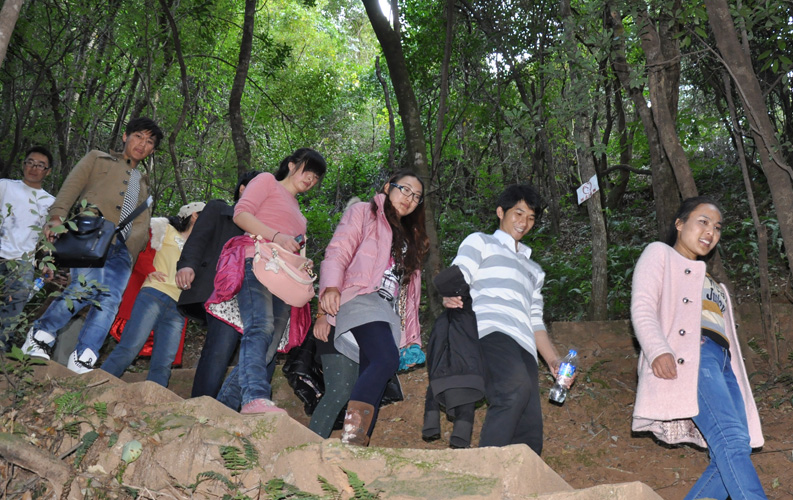 青龍峽位于昆明西郊安寧市青龍鎮(zhèn)滇中生態(tài)大峽谷中，景區(qū)有保存較為完好的植物群落，遮天蔽日的參天古木；有浪漫山花，野果飄香，還有清秀寧靜的田園風(fēng)光。河谷沿岸古柳成蔭，幾十里的云南櫻花大道成為昆明郊游靚麗的風(fēng)景線。景區(qū)中溪水潺潺，千姿百態(tài)、千奇百怪的蔓藤風(fēng)光隨處可見，號稱“都市身旁的小九寨。